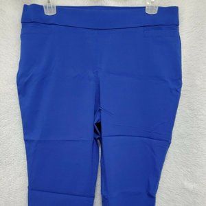 Briggs Blue Capri Pants Size 16W